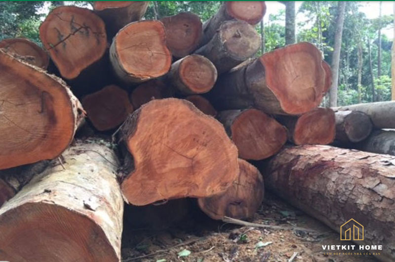 Go-xoan-dao-tu-nhien Tủ bếp gỗ xoan đào- Gỗ Xoan Đào Vietkit Home