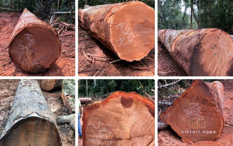 go-xoan-dao-tu-nhien-vietkithome Tủ bếp gỗ xoan đào- Gỗ Xoan Đào Vietkit Home