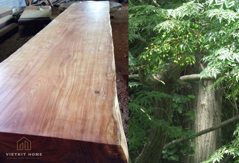 go-xoan-dao-vietkithome1 Tủ bếp gỗ xoan đào- Gỗ Xoan Đào Vietkit Home