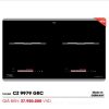 Vietkit Home phân phối Bếp Từ Canzy CZ 9979 GRC giá rẻ nhất thị trường.